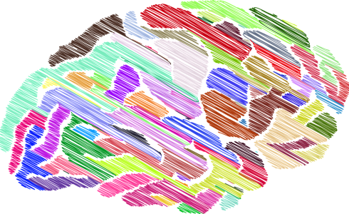 brain-mind-thinking-2789677 brain, mind, thinking-2789677.jpg